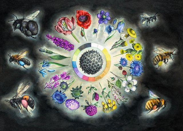 Illustration med blomster og insekter