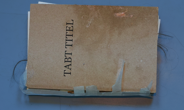 Billede af bog med titlen "tabt titel"