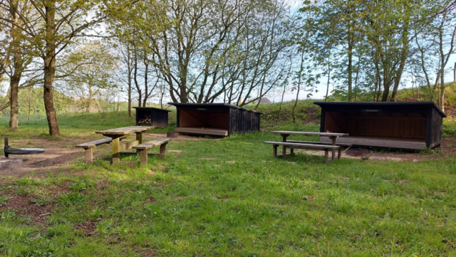 Shelterplads med træer og bord-bænke sær