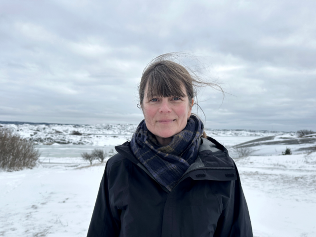 Kvinde i landskab