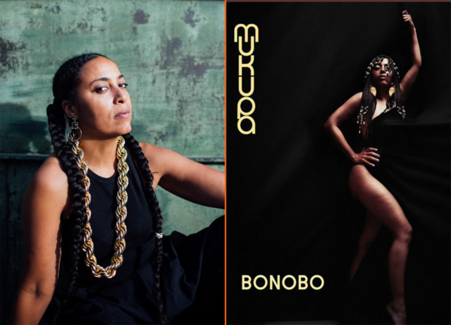 Portræt af kunstner og albumcover