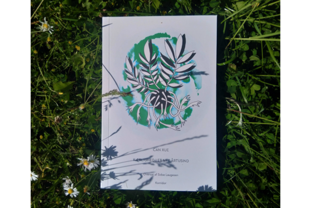 Bog, der ligger i græs