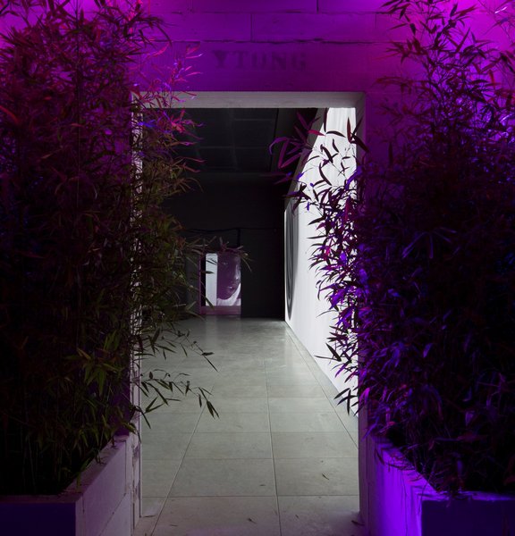 "Intercourses", Jesper Just, 2013.